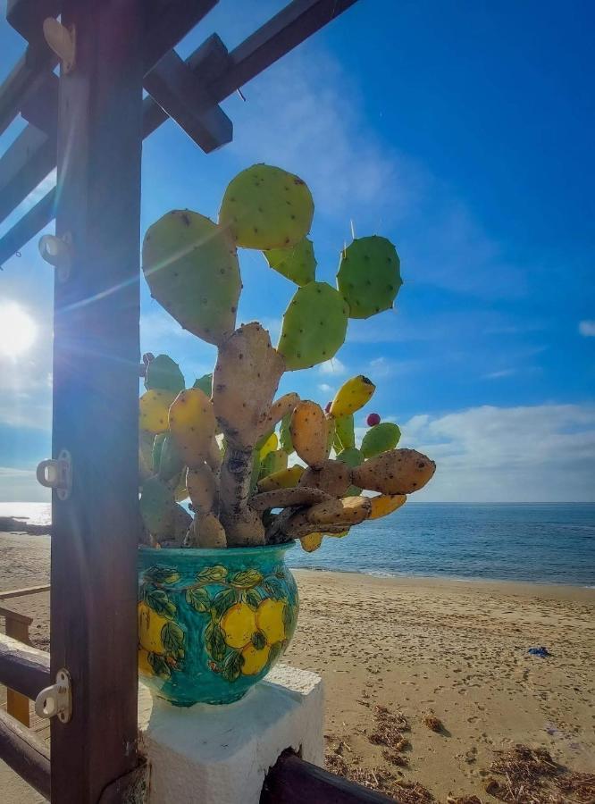 Appartamento La Coffa Agnone Cilento Luaran gambar