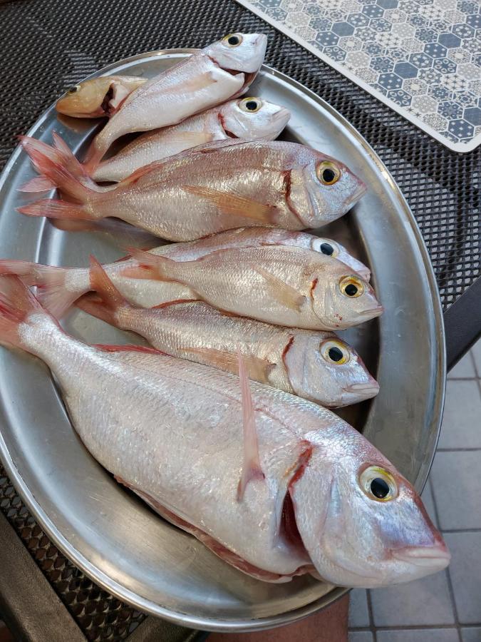 Appartamento La Coffa Agnone Cilento Luaran gambar
