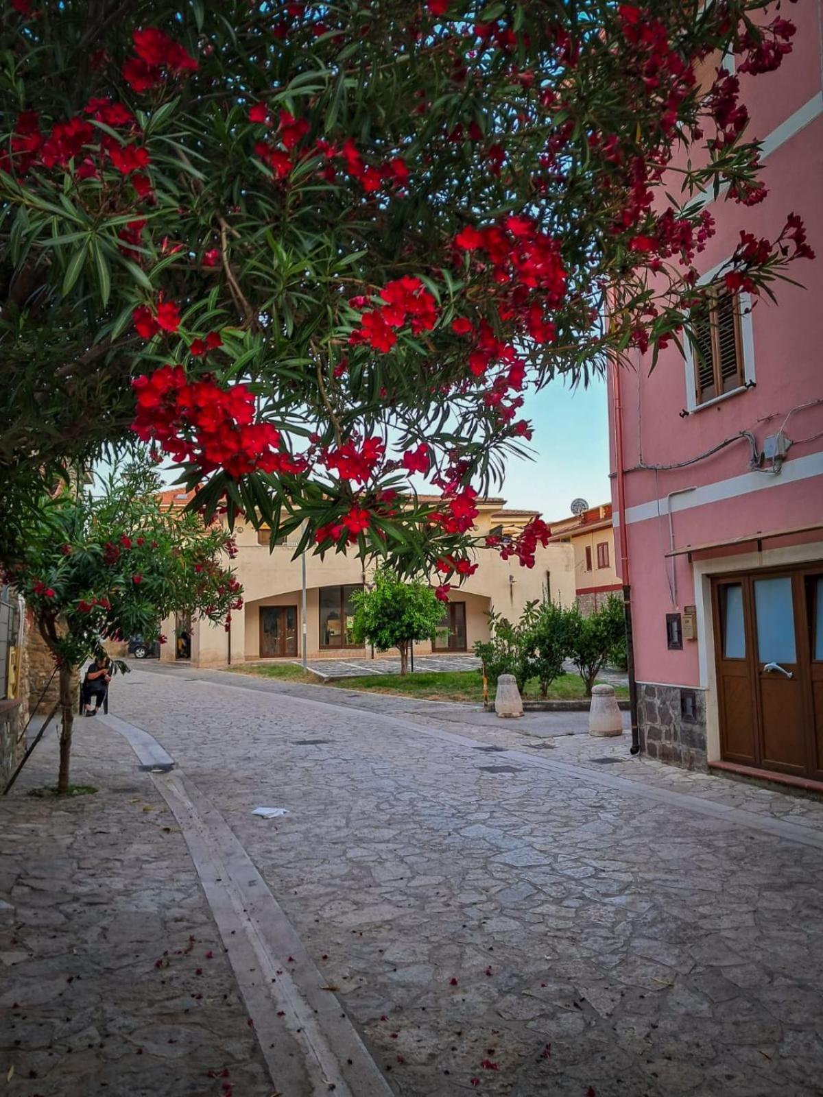 Appartamento La Coffa Agnone Cilento Luaran gambar